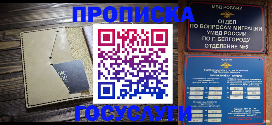 прописка 2025 в Нижнем Тагиле